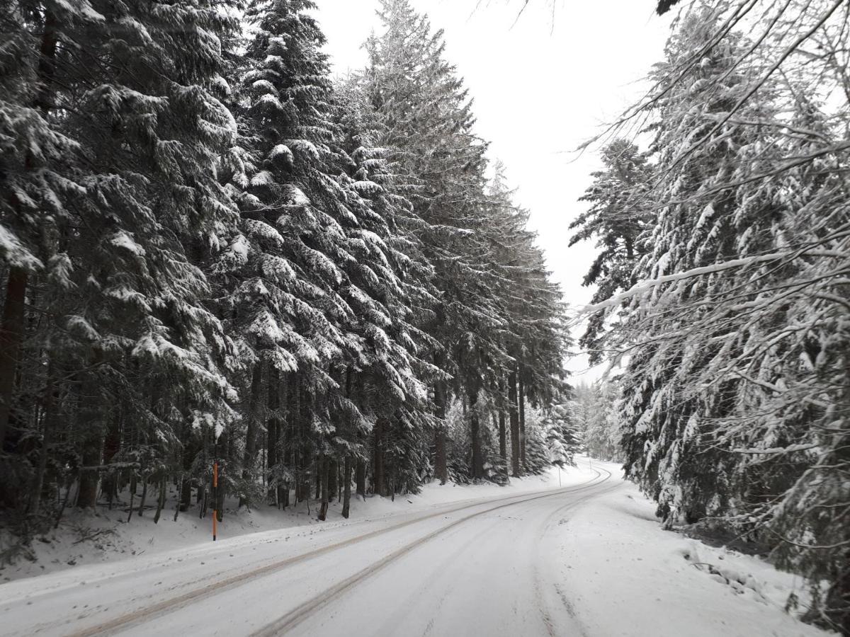 A 2 Pas Du Lac Apartman Xonrupt-Longemer Kültér fotó