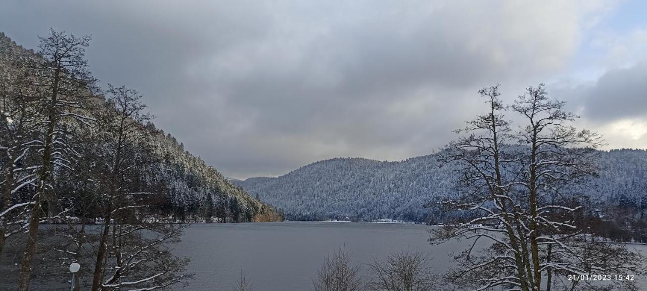 A 2 Pas Du Lac Apartman Xonrupt-Longemer Kültér fotó