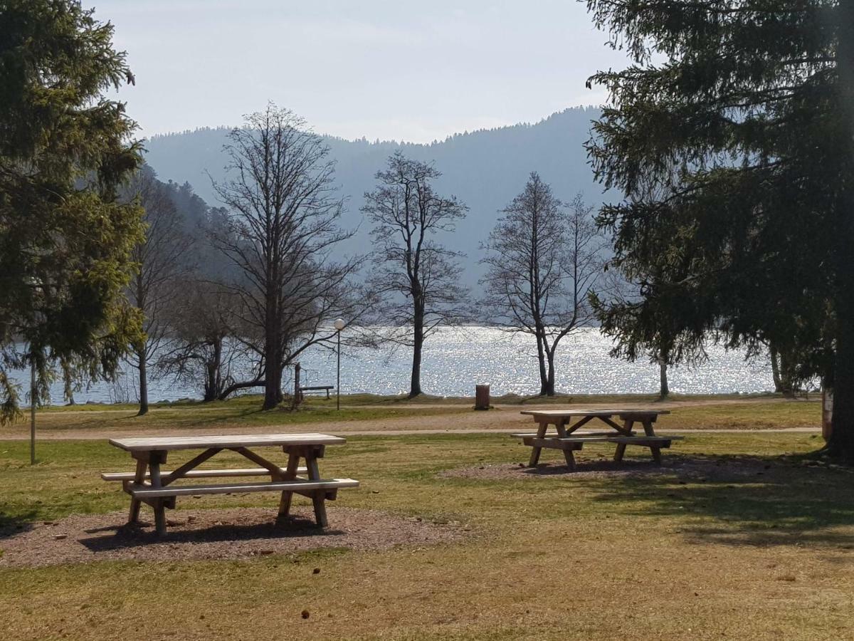 A 2 Pas Du Lac Apartman Xonrupt-Longemer Kültér fotó